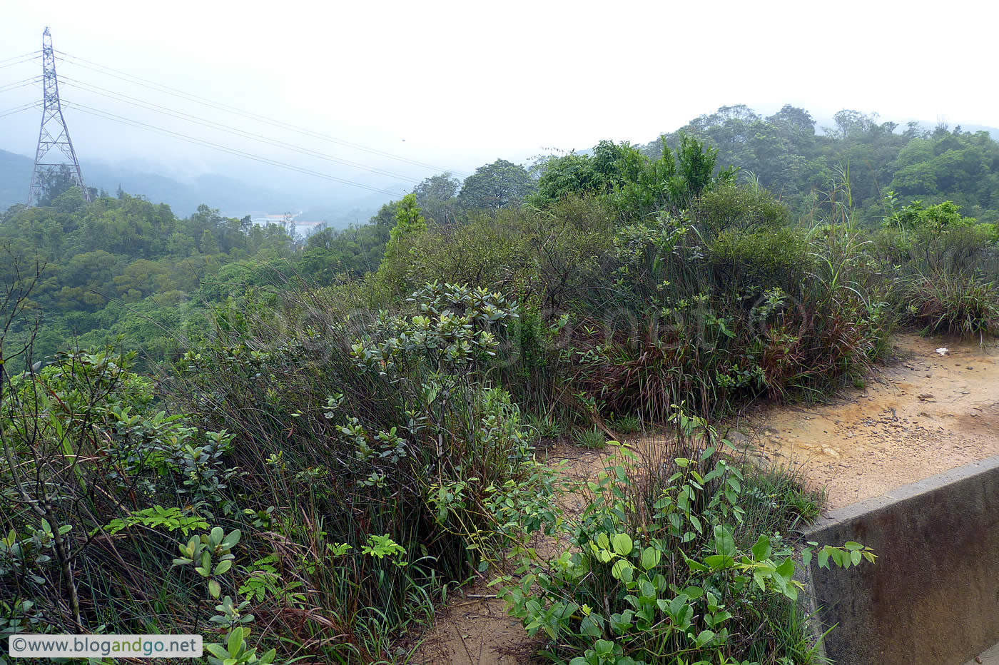 Maclehose 6 - View from the Shung Mun Redoubt kitchen trench